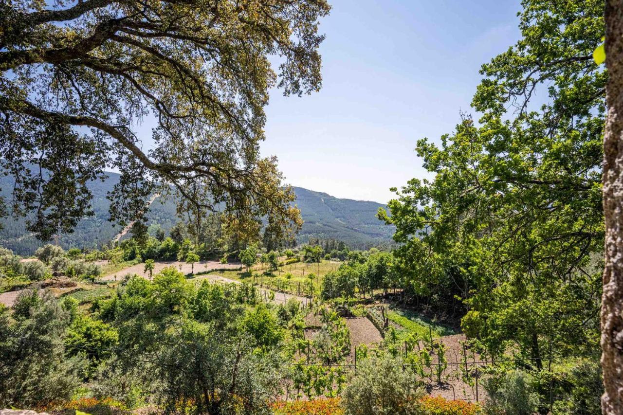 Quinta Da Baldieira Mondim de Basto Eksteriør billede