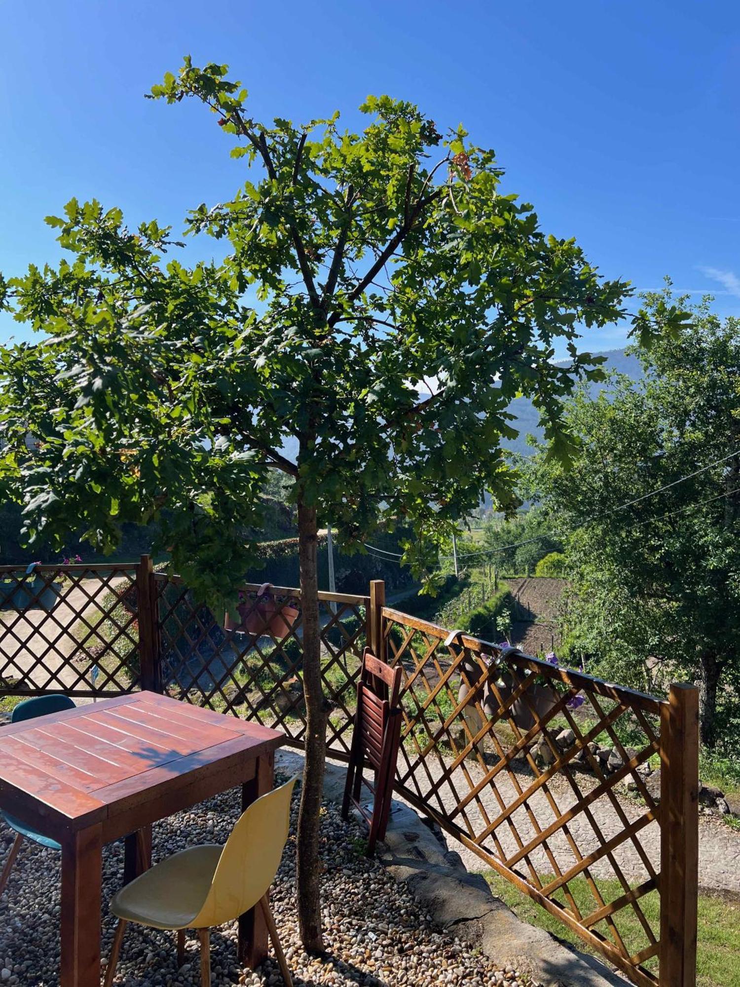 Quinta Da Baldieira Mondim de Basto Eksteriør billede