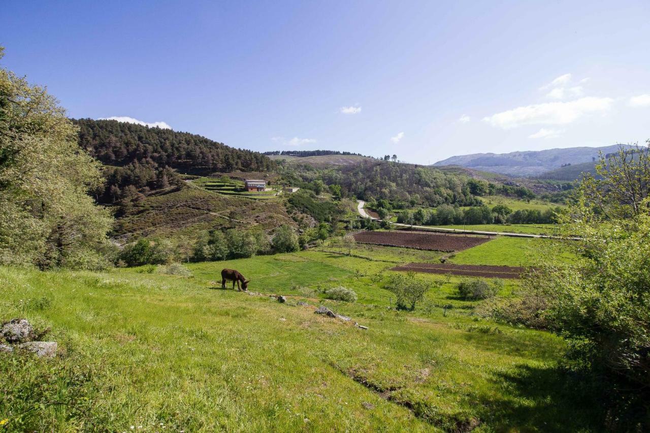 Quinta Da Baldieira Mondim de Basto Eksteriør billede
