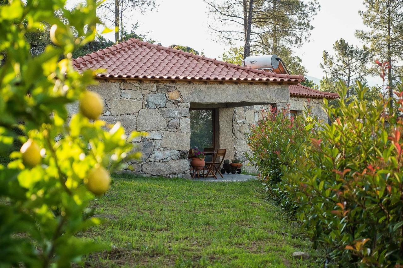 Quinta Da Baldieira Mondim de Basto Eksteriør billede